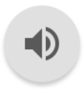 Speaker Icon